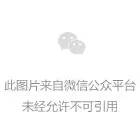 杨丽萍文化传播公司曲折上市路 (http://www.hnyixiao.com/) 艺考资讯 第2张