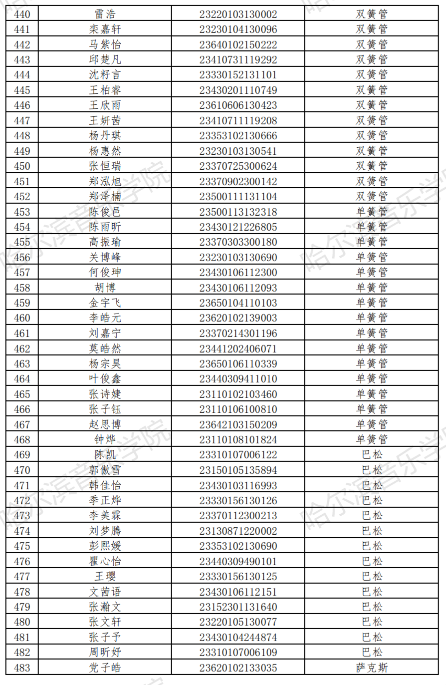 哈尔滨音乐学院2023音乐表演等4专业校考复试名单及复试安排 (http://www.hnyixiao.com/) 艺考界资讯 第12张