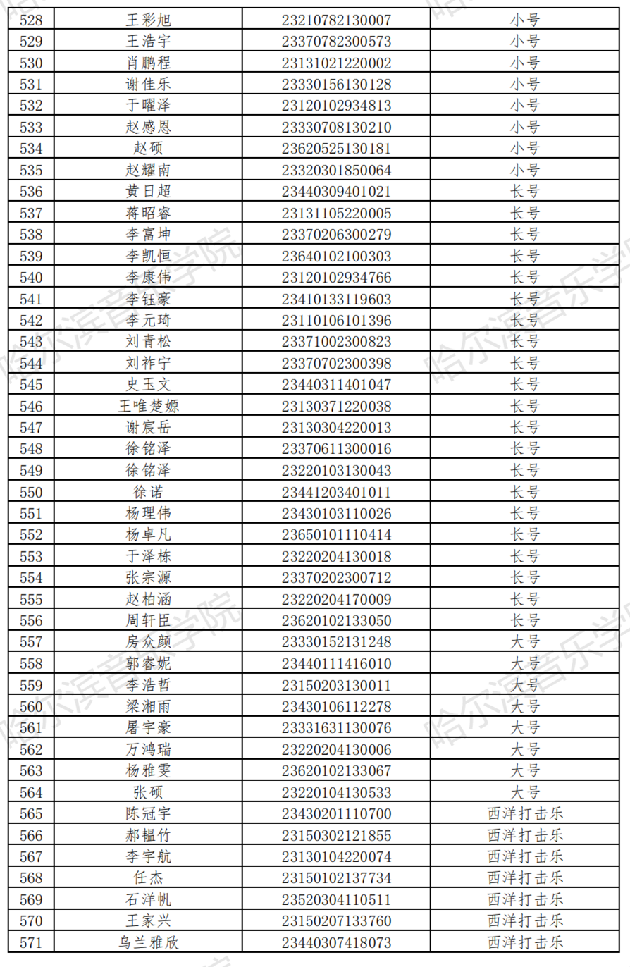 哈尔滨音乐学院2023音乐表演等4专业校考复试名单及复试安排 (http://www.hnyixiao.com/) 艺考界资讯 第14张