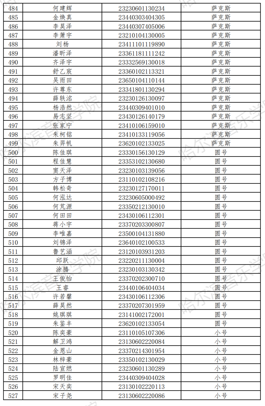 哈尔滨音乐学院2023音乐表演等4专业校考复试名单及复试安排 (http://www.hnyixiao.com/) 艺考界资讯 第13张