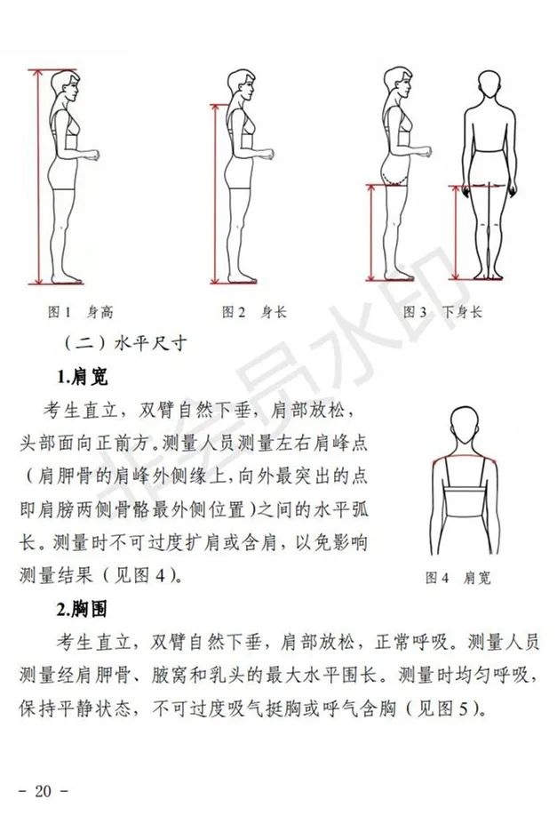 宁夏艺术类专业考试招生工作实施方案(试行)发布 (http://www.hnyixiao.com/) 艺考界资讯 第29张