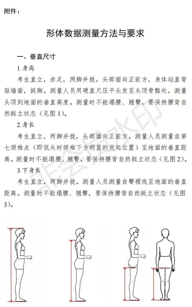 河北、海南艺术类专业招生工作实施方案发布 (http://www.hnyixiao.com/) 艺考界资讯 第71张