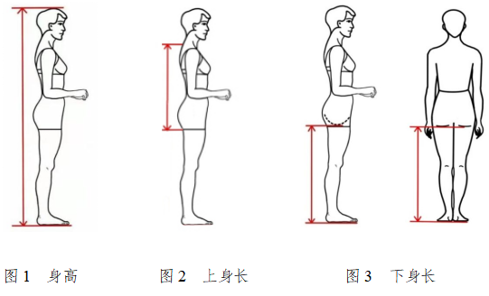 重大改革！四川省艺术类专业招生工作实施方案公布 (http://www.hnyixiao.com/) 艺考界资讯 第1张