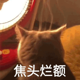 舞蹈艺考的10个知识点 (http://www.hnyixiao.com/) 艺考界资讯 第3张