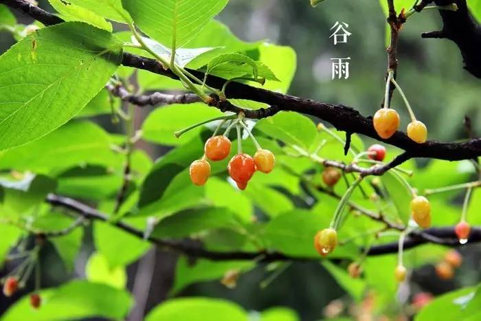 教育部发布艺考改革最新政策：2024年起不再跨省设置校考考点 (http://www.hnyixiao.com/) 艺考界资讯 第6张