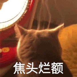 2023届舞蹈艺考：10个艺考知识点 (http://www.hnyixiao.com/) 艺考界资讯 第1张
