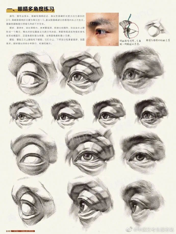 艺考知识干货 | 用五张图教你快速理解五官 (http://www.hnyixiao.com/) 师资力量 第14张